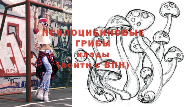 трава Белокуриха