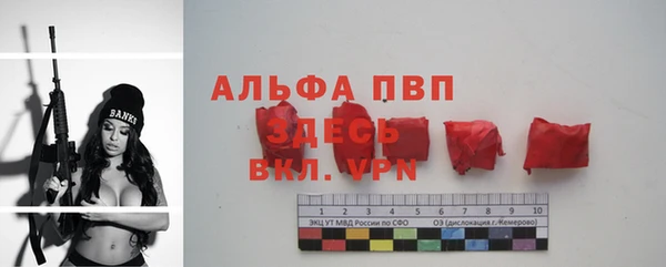 трава Белокуриха