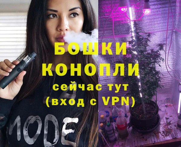 трава Белокуриха