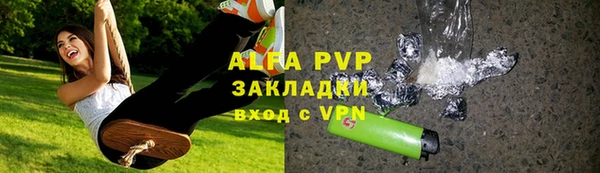 трава Белокуриха