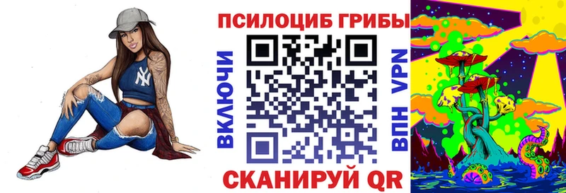 ссылка на мегу рабочий сайт где найти Горняк Псилоцибиновые грибы Psilocybine cubensis